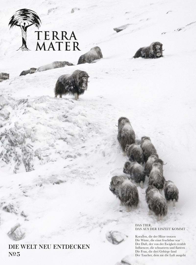 Terra Mater Magazin