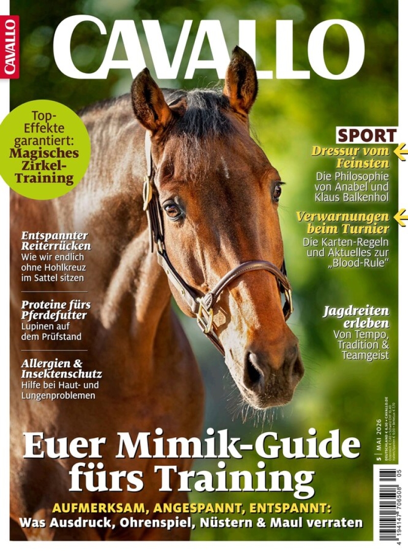 CAVALLO