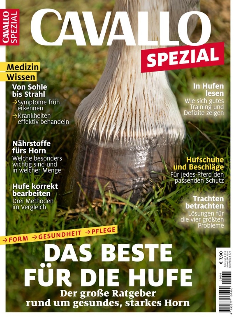 CAVALLO